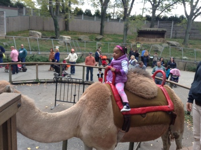 Quinn Riding a Camel at the Zoo 